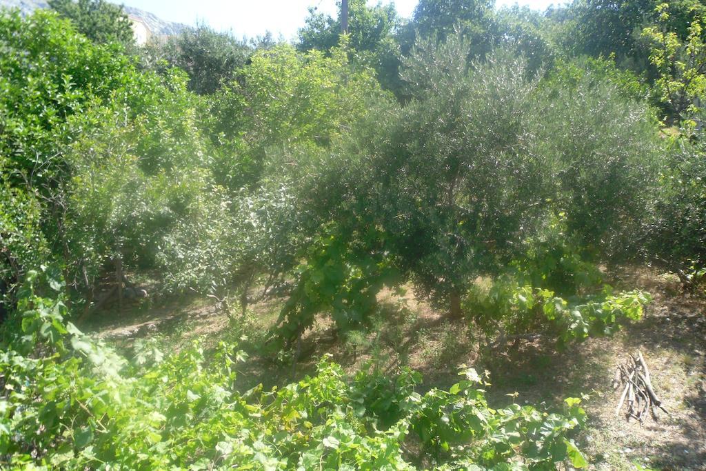 Hostel Guesthouse Mira Omiš Стая снимка